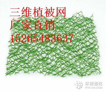 湖北三維植被網(wǎng)供應(yīng)商15265483637